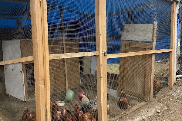 Güneşli Günler Çiftliği - Resim 18