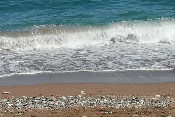 Bodrum Koyu Plajı - Resim 20