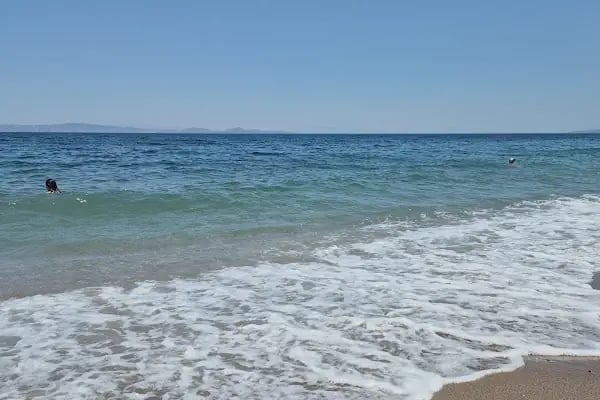 Bodrum Koyu Plajı - Resim 14