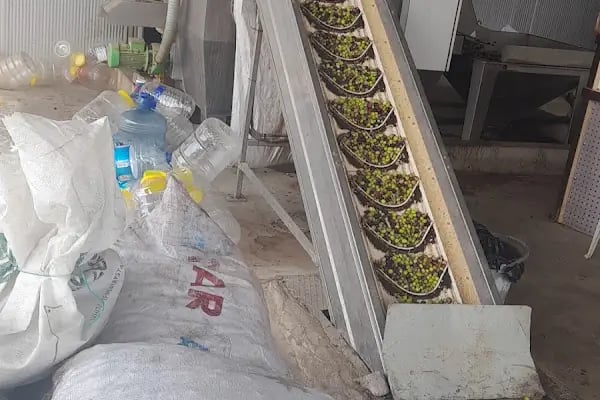 Zeytinyağı fabrikası Anamur Koç Çarıklar - Resim 4