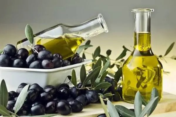Zeytinyağı fabrikası Anamur Koç Çarıklar - Resim 13