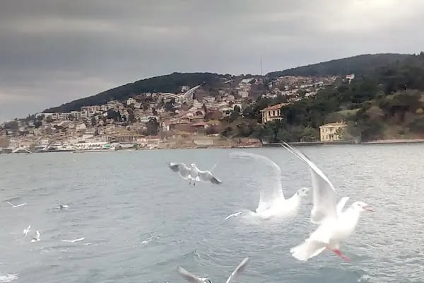 Kaşık Adası Sahili - Resim 15