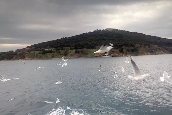 Kaşık Adası Sahili - Resim 6