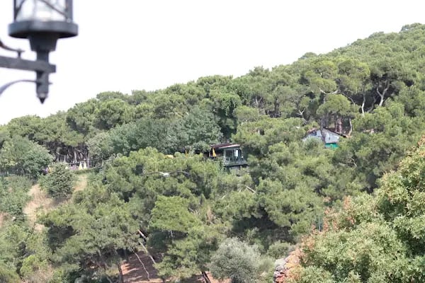 Kaşık Adası Sahili - Resim 8