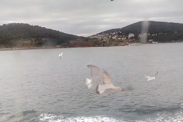 Kaşık Adası Sahili - Resim 13