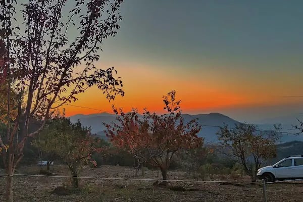 Spil Saruhanbey At Çiftliği - Resim 16