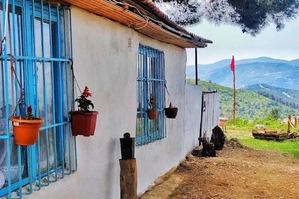 Spil Saruhanbey At Çiftliği - Resim 20