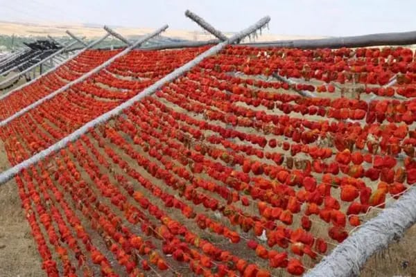 Doğal ve Yöresel Lezzetlerimiz-Sümeyra KESKİN - Resim 16