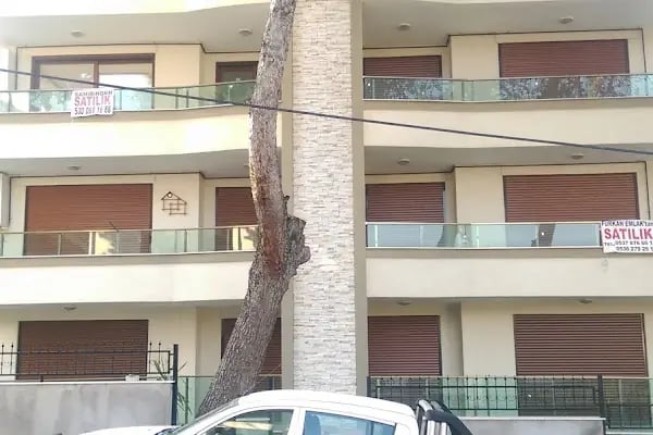 DOĞSA YAPI Hafriyat-İnşaat - Resim 3