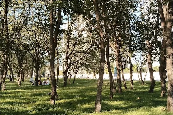 Tepe Piknik Alanı - Resim 8