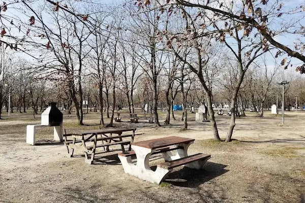 Tepe Piknik Alanı - Resim 12