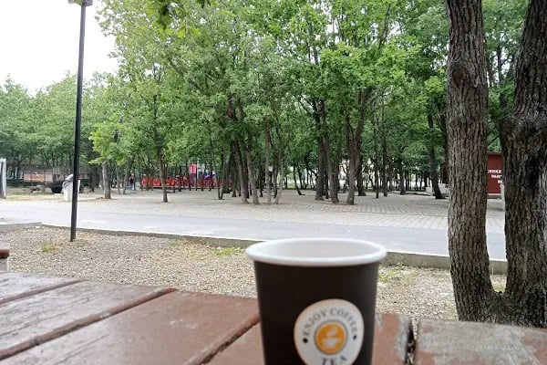 Tepe Piknik Alanı - Resim 7