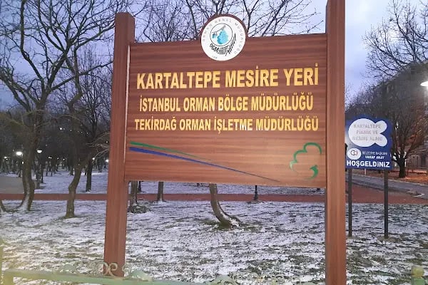Tepe Piknik Alanı - Resim 16