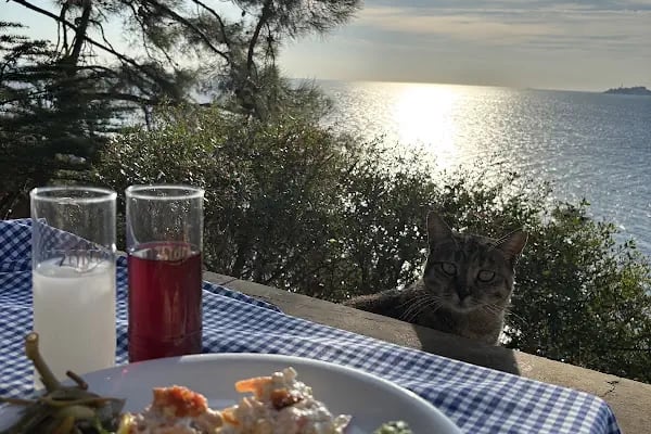 Kalpazankaya Restaurant - Resim 14
