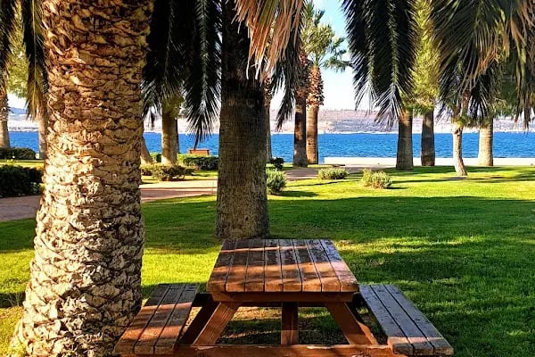 Su İskelesi - Resim 3