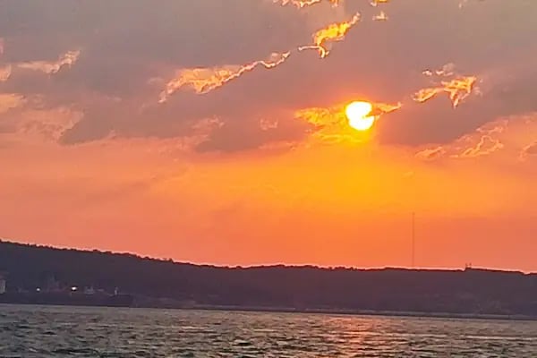 Su İskelesi - Resim 5