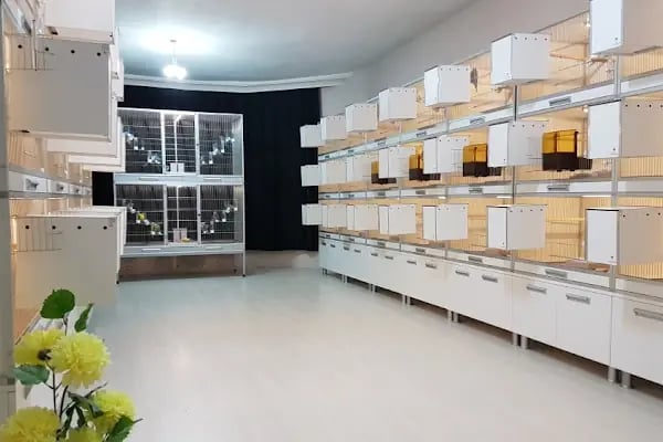 Ankara Kuşcusu - Resim 10