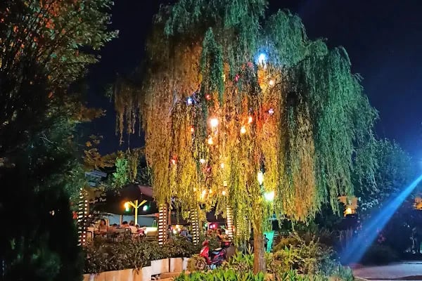 Kocasinan Parkı - Resim 17