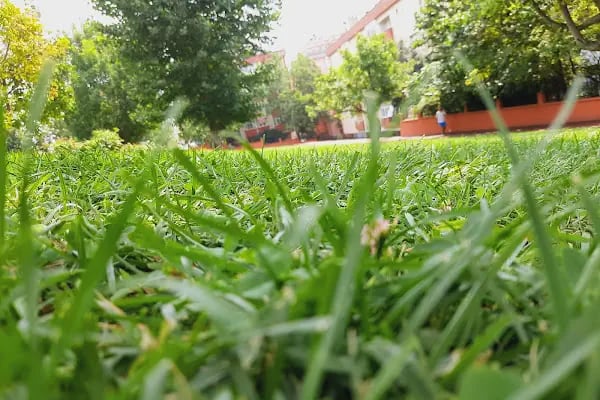 Kocasinan Parkı - Resim 13