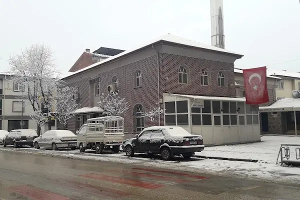 Çinili Yeni Cami - Resim 4