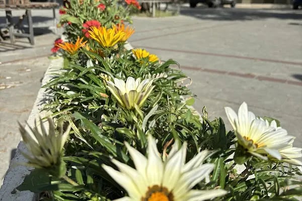 Konya Meram Ağız ve Diş Sağlığı Merkezi - Resim 15