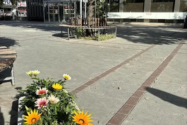 Konya Meram Ağız ve Diş Sağlığı Merkezi - Resim 7