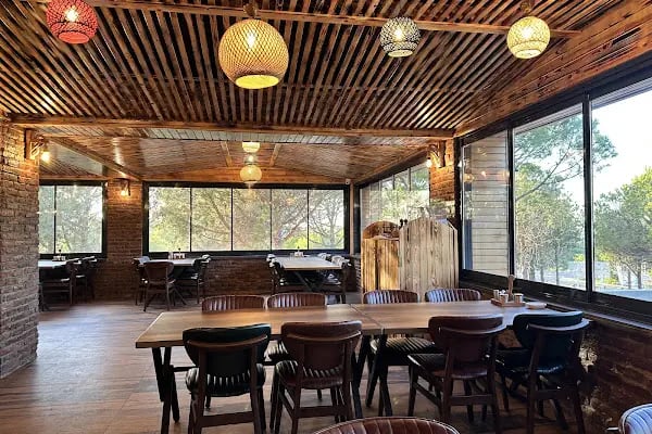 Boyalık Meva Garden Kır Lokantası - Resim 5