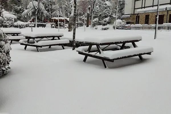 Ertuğrul Gazi Parkı Ve Sosyal Tesisleri - Resim 6