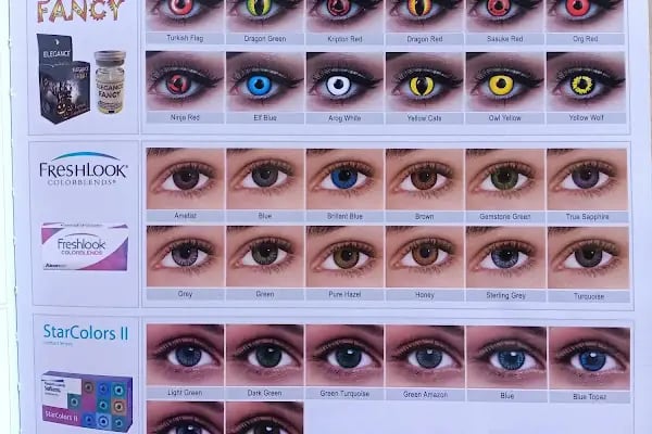 Dalaman Saydam Optik - Resim 14