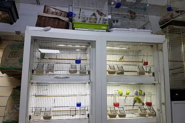 Active Pet Shop - Resim 13