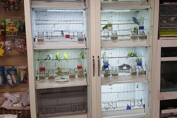 Active Pet Shop - Resim 9