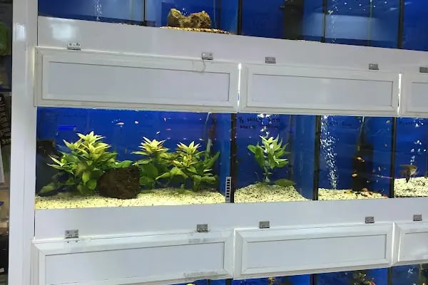 Active Pet Shop - Resim 19