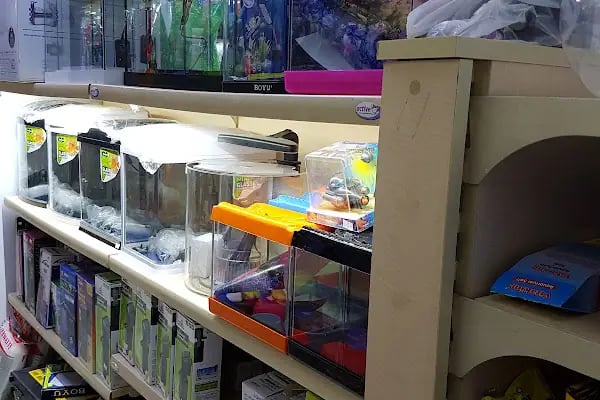 Active Pet Shop - Resim 20