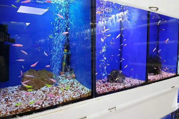 Active Pet Shop - Resim 17