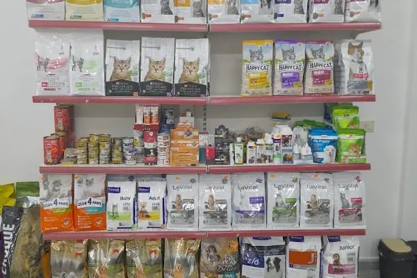 Bağlıca Pethekim Veteriner Kliniği - Resim 17