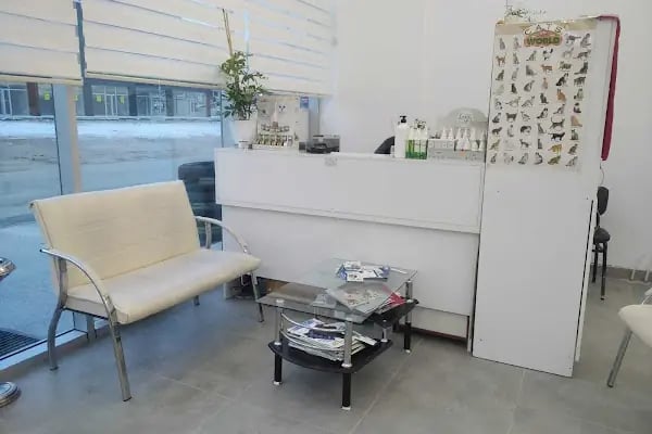 Bağlıca Pethekim Veteriner Kliniği - Resim 6