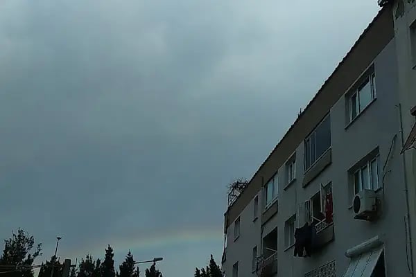 Ali Fuat Cebesoy Parkı - Resim 13