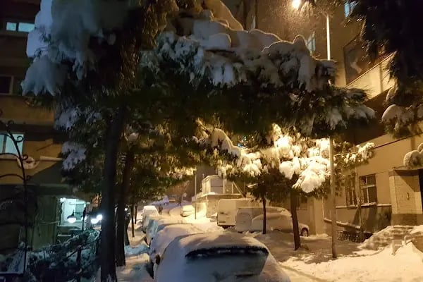 Bağcılar Belediyesi Yavuz Sultan Selim Parkı - Resim 2