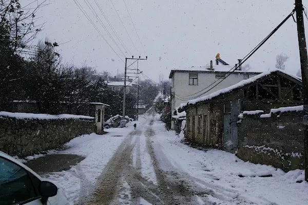Gemlik Paintball - Resim 11