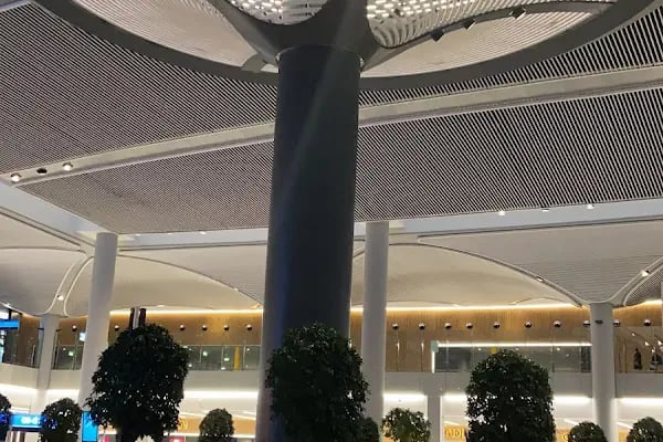 İstanbul Havalimanı Otopark - Resim 13