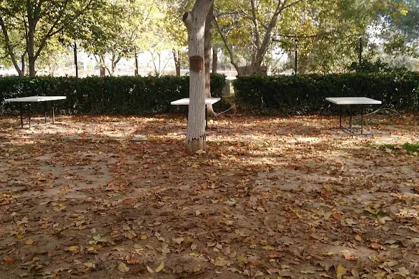 Duru Garden Organizasyon Eğlence Ve Kır Düğünü - Resim 13
