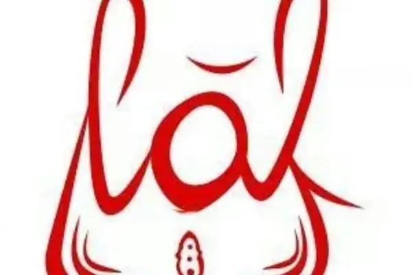 Lâl çanta ve ayakkabı - Resim 4