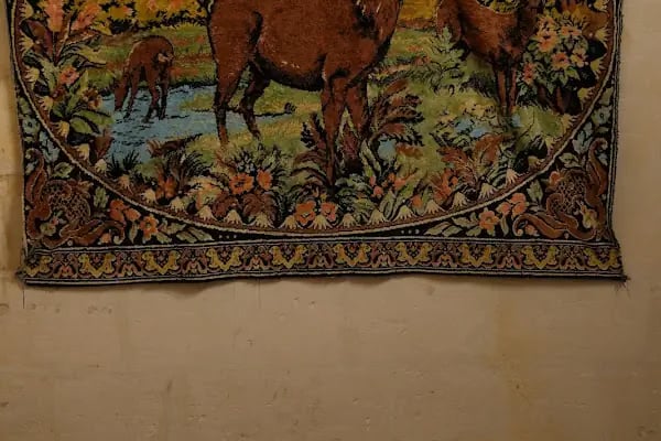 Aslan Konuk Evi &amp; Guest House - Resim 16