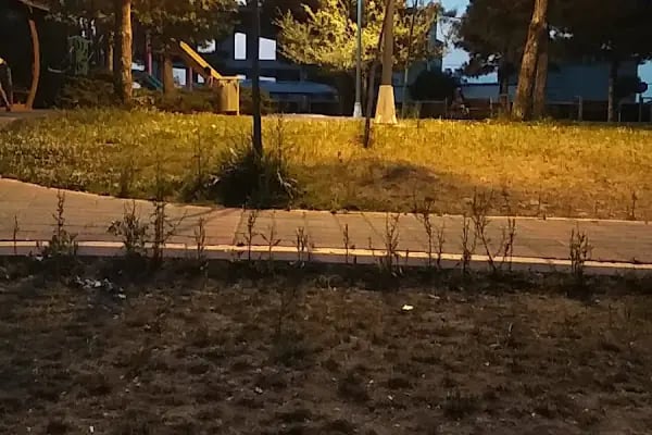 Çayırova Belediyesi Aşık Mahzuni Şerif Parkı - Resim 8