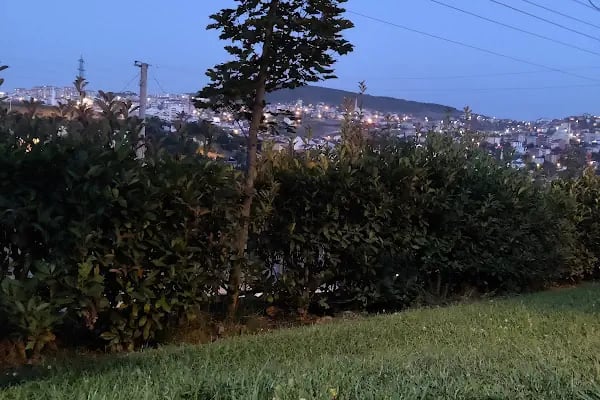 Çayırova Belediyesi Aşık Mahzuni Şerif Parkı - Resim 7