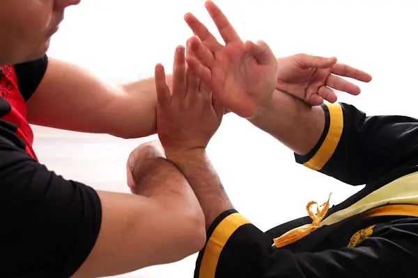 Wing Chun Okulu - Resim 5