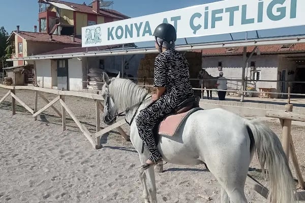 Nalçacı Binicilik &amp; At Eğitim Merkezi - Resim 20