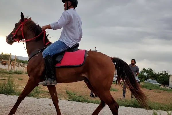 Nalçacı Binicilik &amp; At Eğitim Merkezi - Resim 17