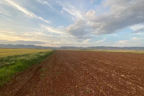Esentepe çobanlar ticaret - Resim 2