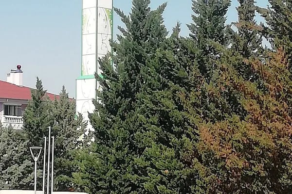 Cemre Parkı - Resim 14